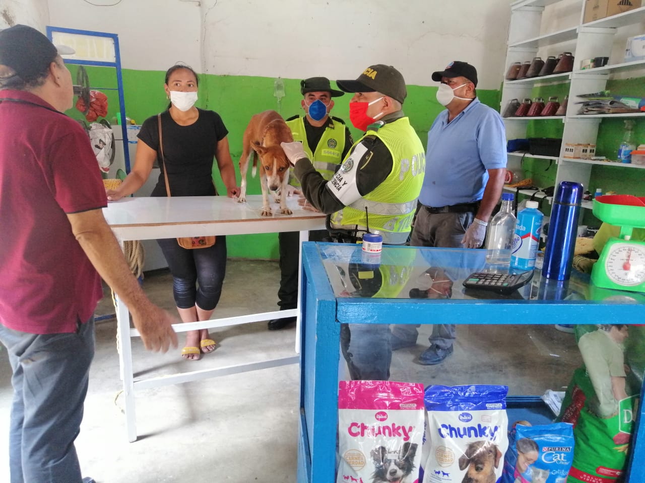 Recibió atención veterinaria y alimentaria
