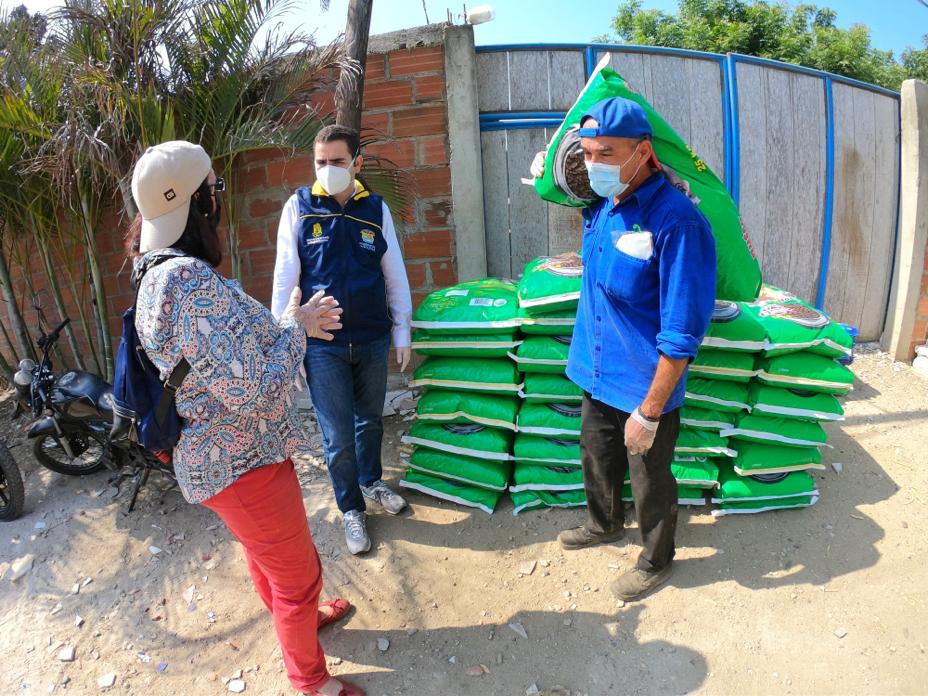 Entrega de alimentos a perros y gatos