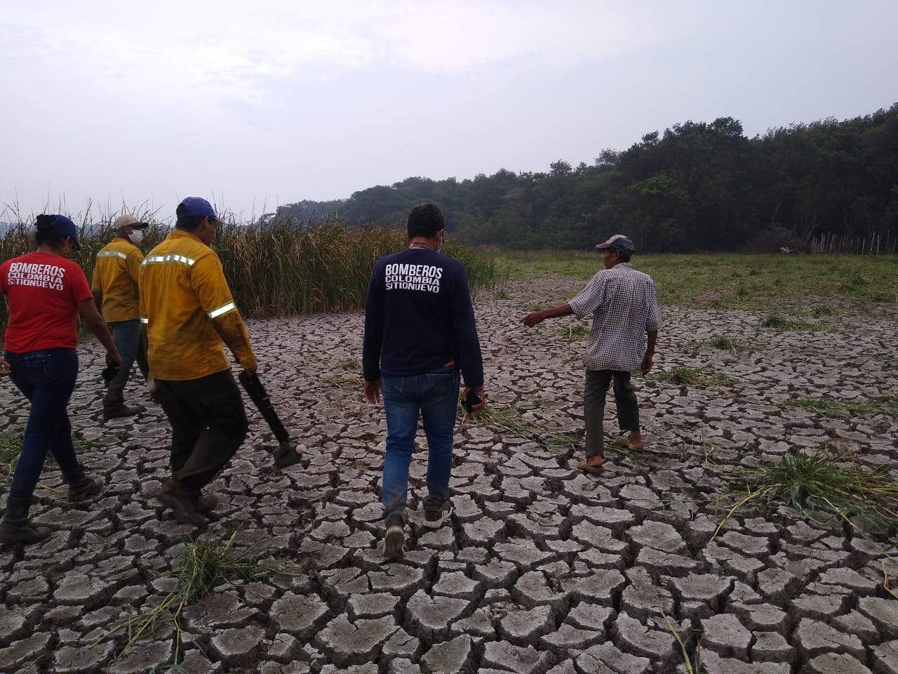La sequía a duplicado los focos de incendio, muchas especies han emigrado