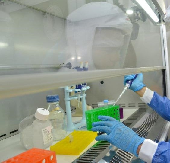 Confirmados tres nuevos casos de Coronavirus en Sucre