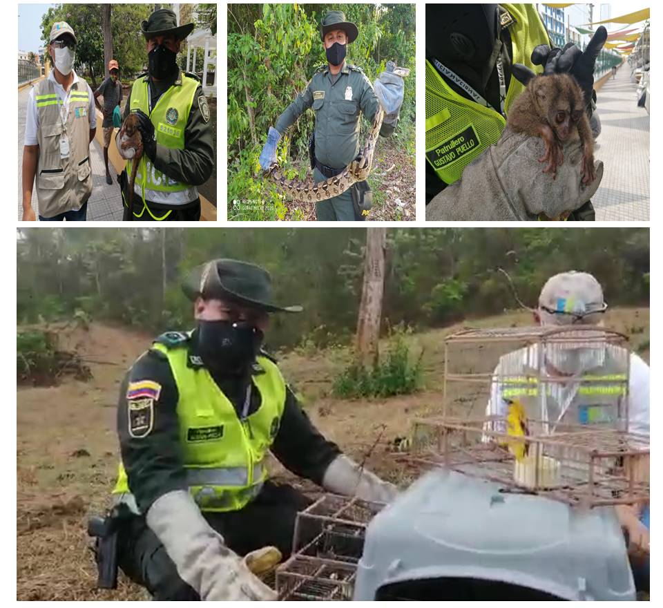 El Grupo de Protección Ambiental de la Policía Metropolitana y el Establecimiento Público Ambiental (EPA) Cartagena