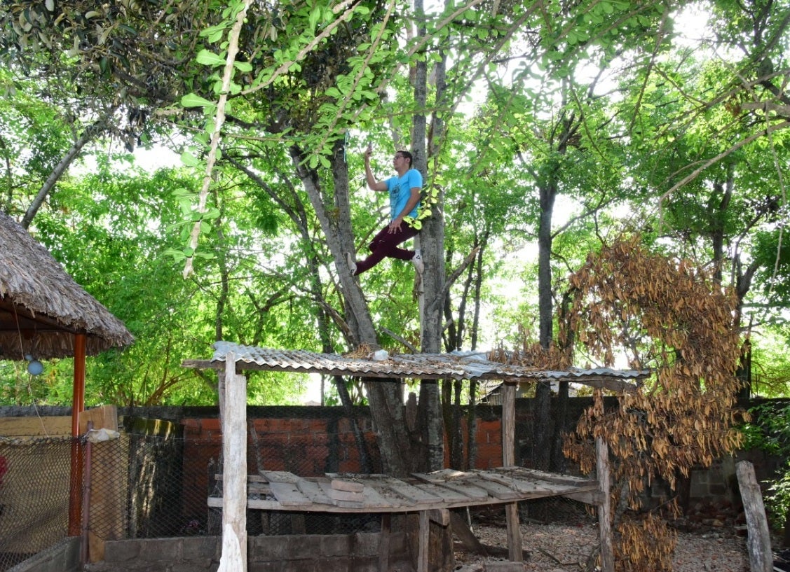 en un árbol de dos metros de alto debía subirse Tomás para atender las clases virtuales