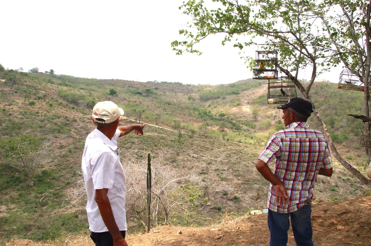 Restitución familias