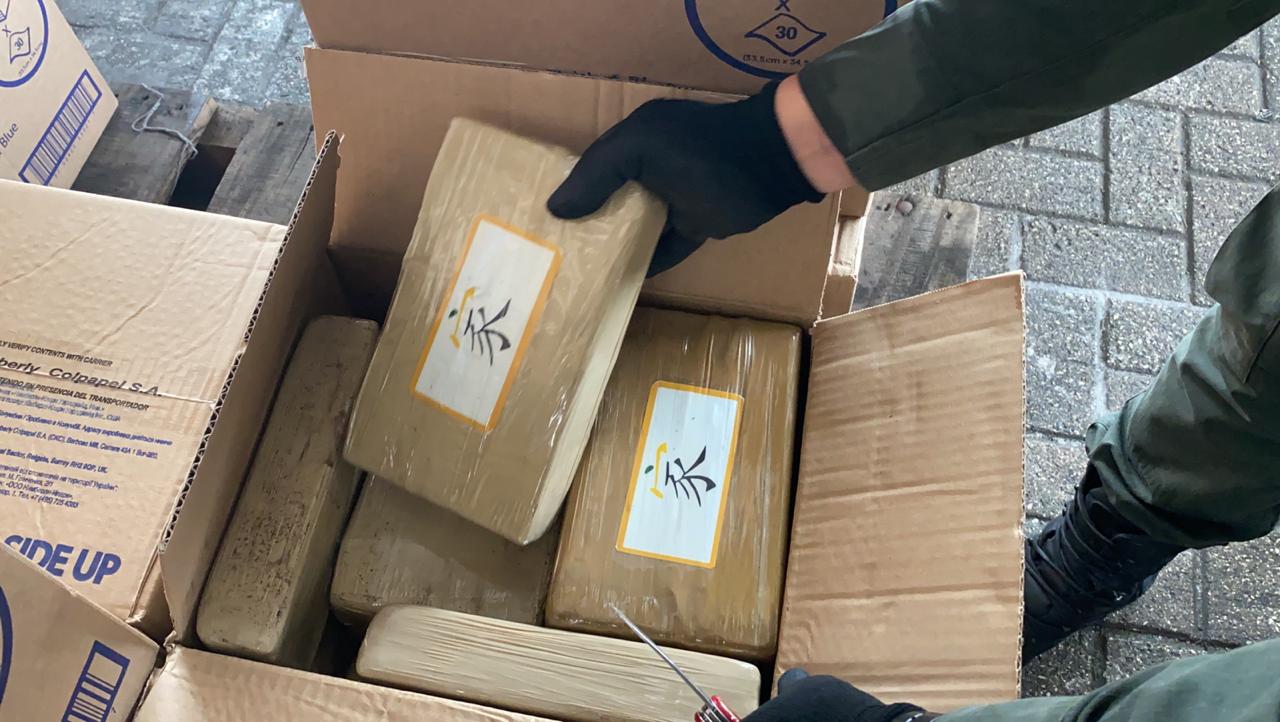 El alcaloide tiene un valor aproximado de 73 millones de dólares en el país europeo