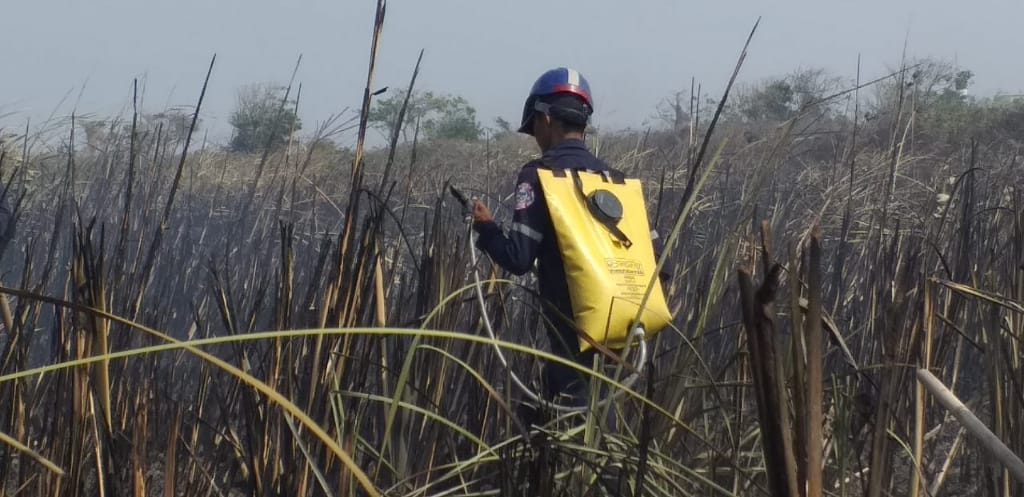 Bomberos en operativo de extinción