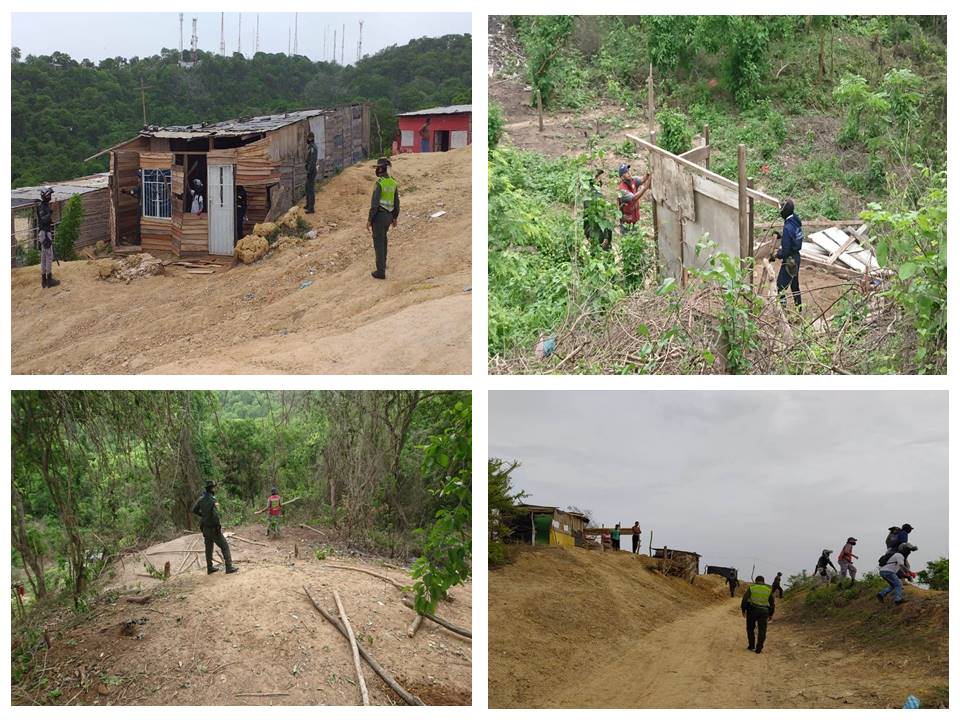 Recuperan zona verde protegida