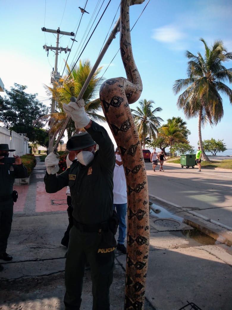 Playas de Castillogrande