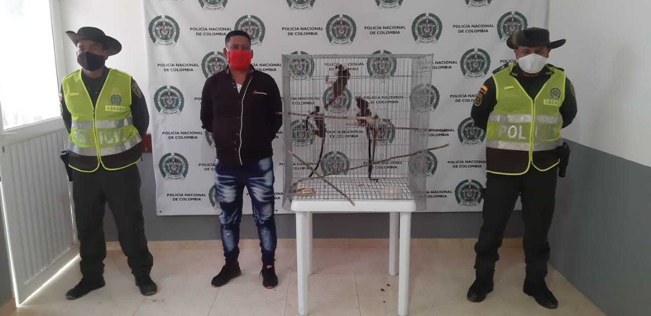 Delito de ilícito aprovechamiento de los recursos naturales renovables