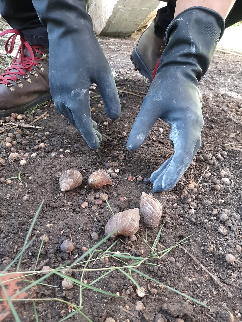 Son perjudiciales y peligrosas para la salud humana