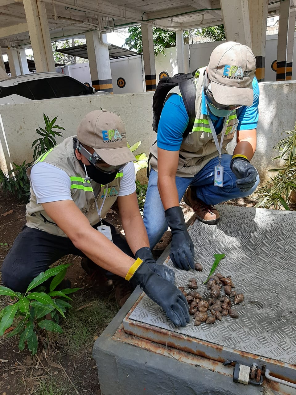 Altamente peligroso para la salud