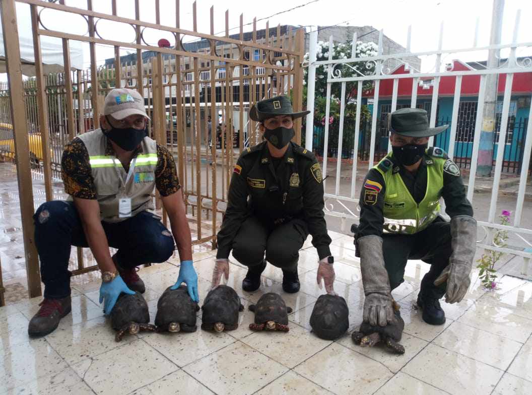 La entrega voluntaria se hizo por parte de residentes del barrio La María