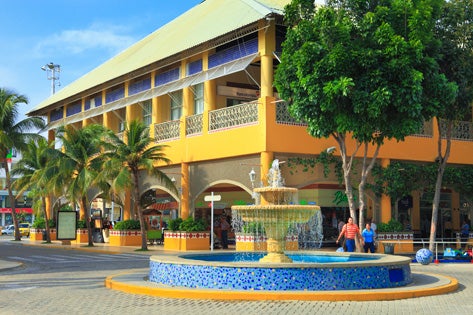 Deben cumplir con todos los protocolos de bioseguridad