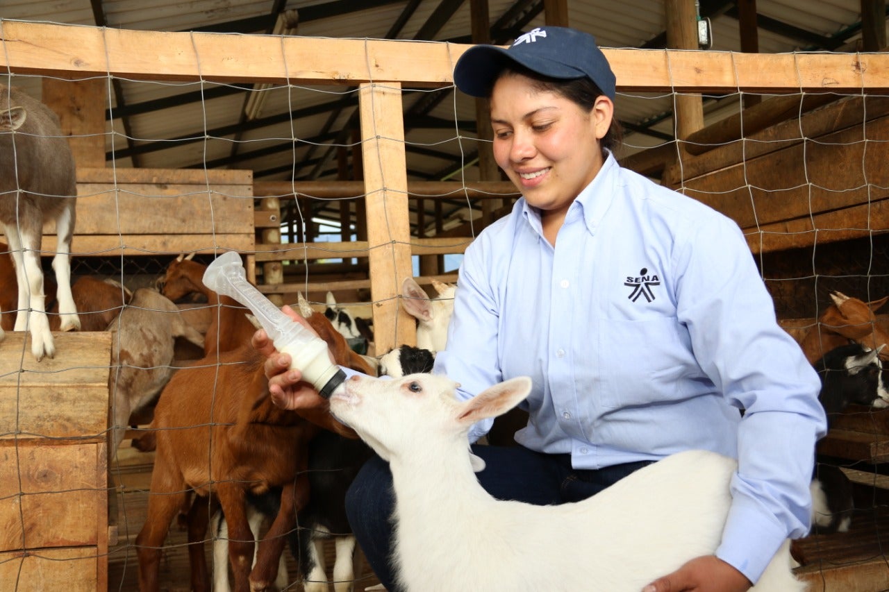 Se busca generar una articulación del SENA con los programas desarrollados por la FAO y sus socios
