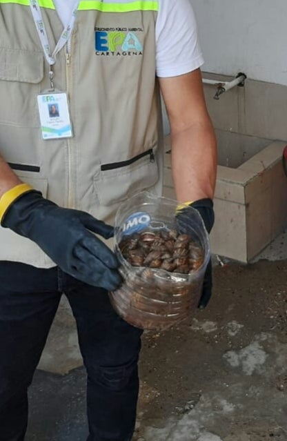 Es una de las 100 clases más perjudiciales y peligrosas del mundo