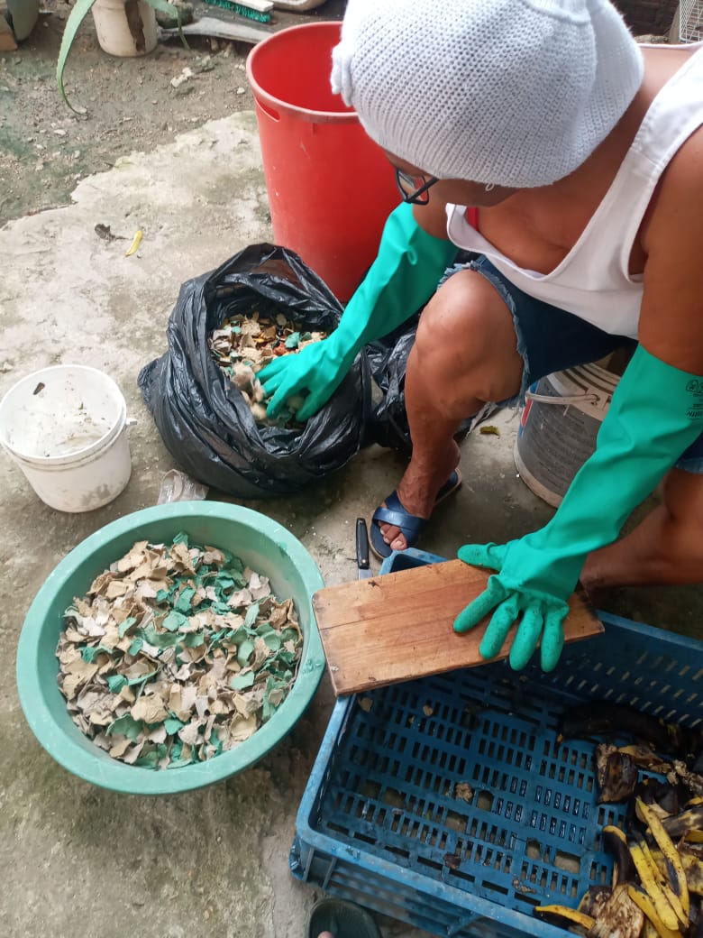 Capacitación virtual.