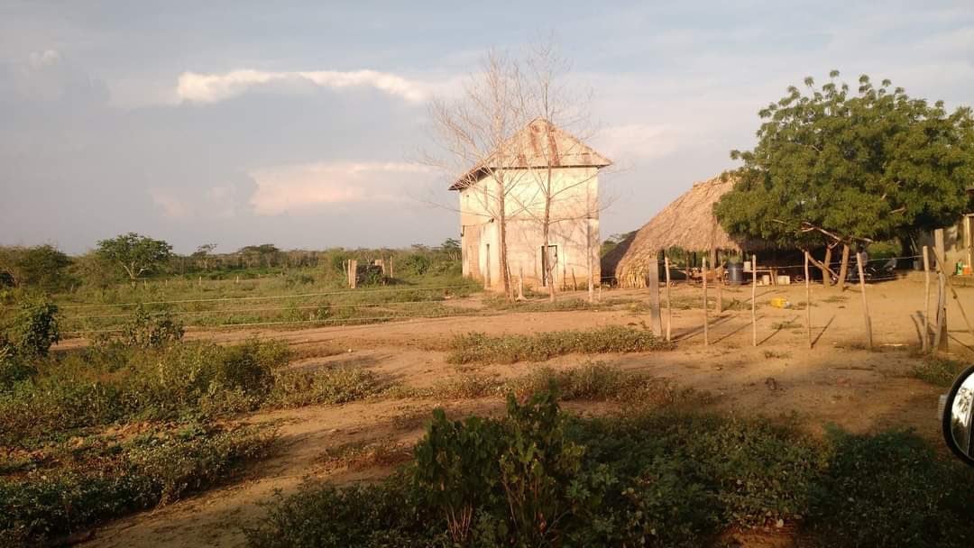 El cuerpo del menor fue hallado en una zona enmontada