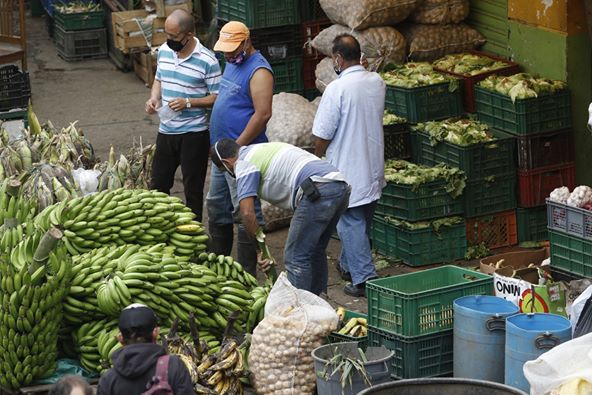 Imagen de referencia