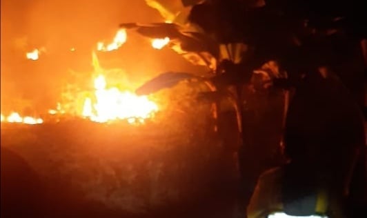 Incendios forestales en el Tolima han consumido 136 hectáreas