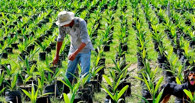 Economía, Recuperación, Santa Marta, Magdalena