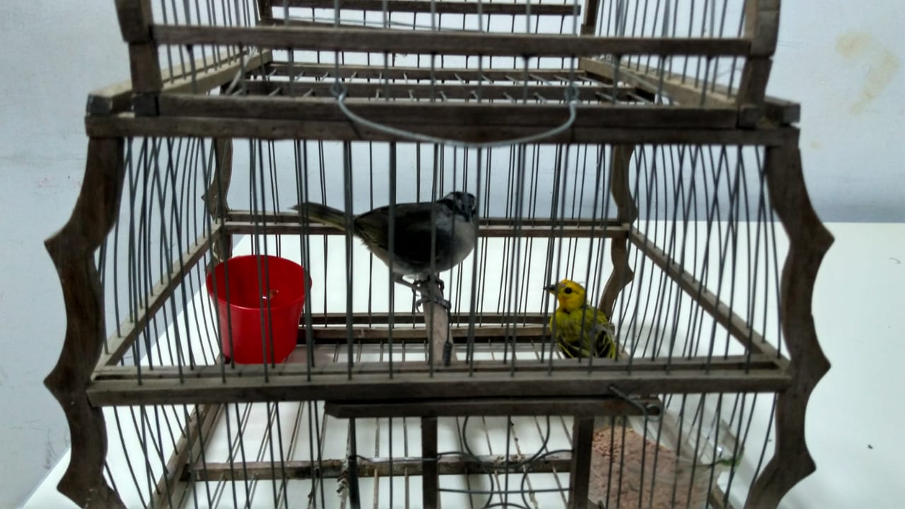 Aprehendieron a dos jovenes de 16 años