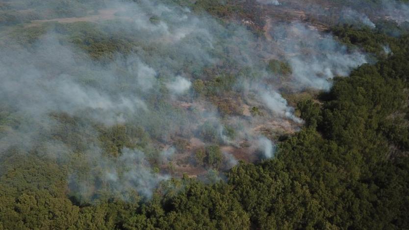 Imagen de referencia.