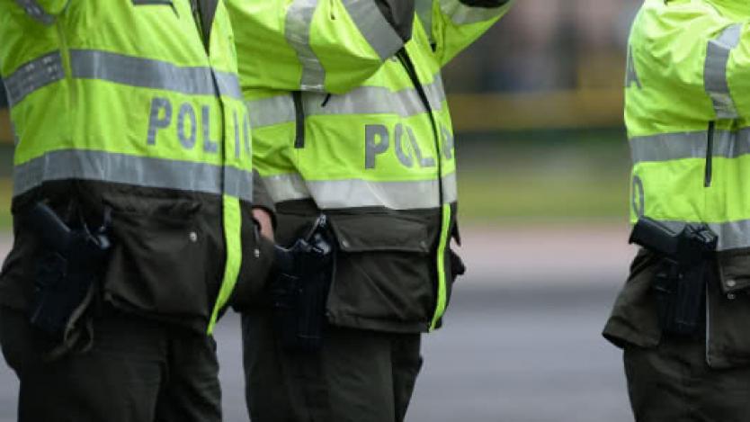 Imagen de referencia.