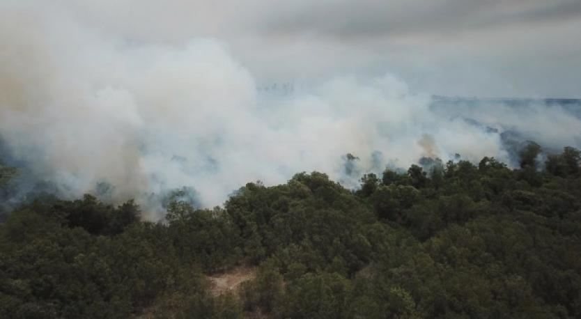 Imagen de referencia.