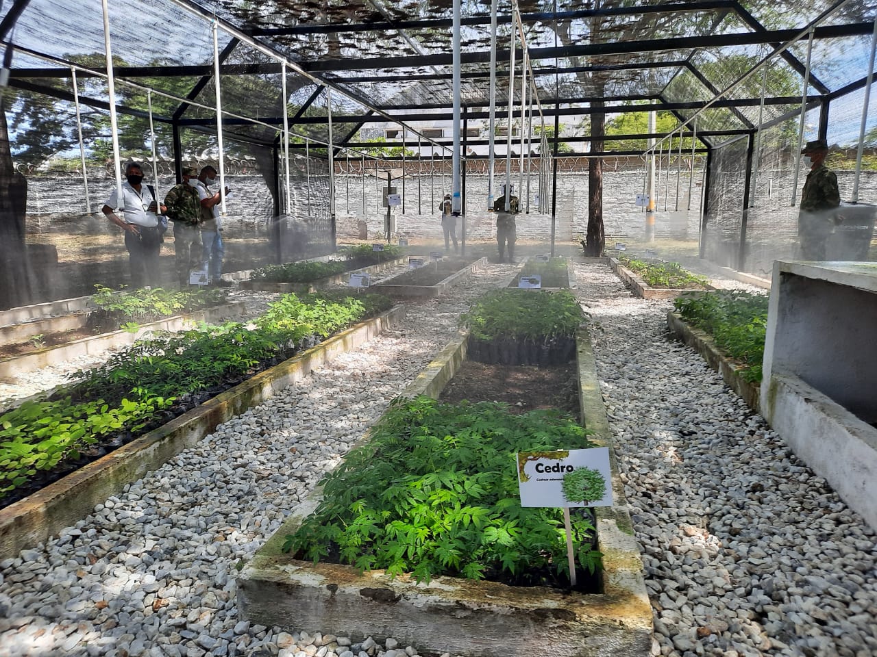 Con estos viveros se espera reforestar la ladera del río Manzanares y zonas afectadadas por incendios forestales