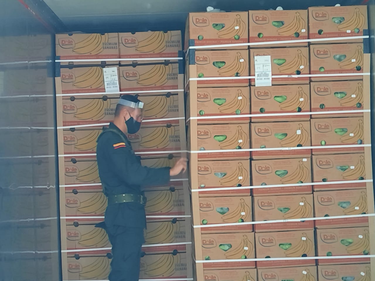 Policía de Antinarcótico revisan los contenedores y procesos de empaques y embarque de las frutas desde las bananeras