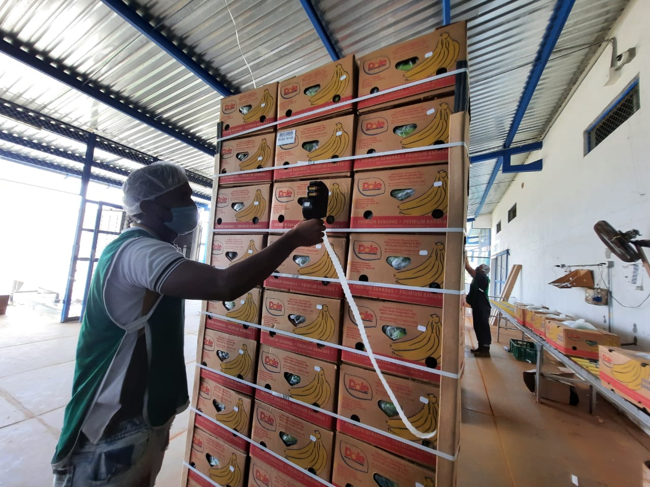 Los trabajadores disfrutan su trabajo que hacen con amor y responsabilidad