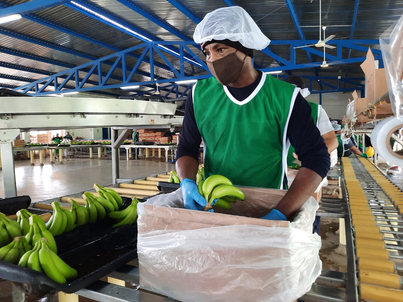 Los trabajadores aseguran que trabajan con amor por los beneficios que tienen al tener un empleo con todas las prestaciones