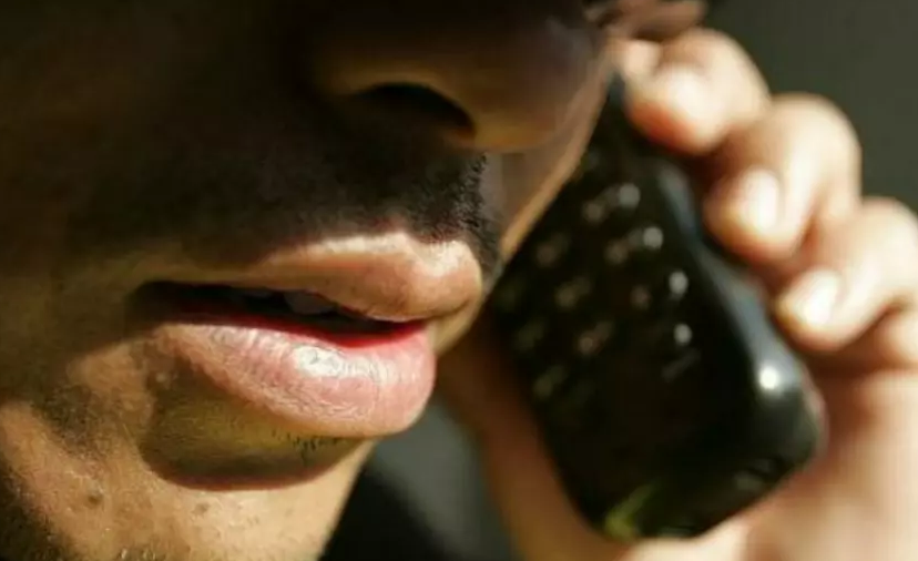 Imagen de referencia.