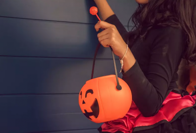 Imagen de referencia.