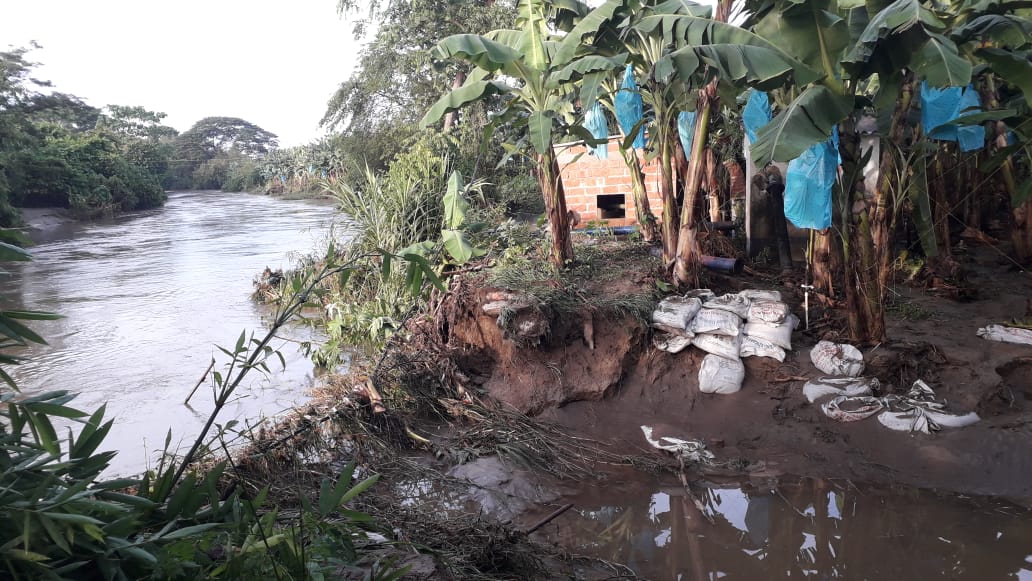 Dentro de los afectados se encuentra plantaciones de banano