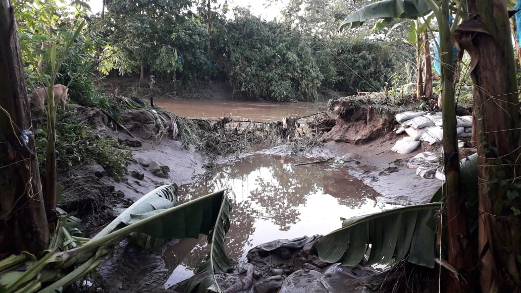 Preocupación por el desbordamiento en dos ríos afectando las siembras