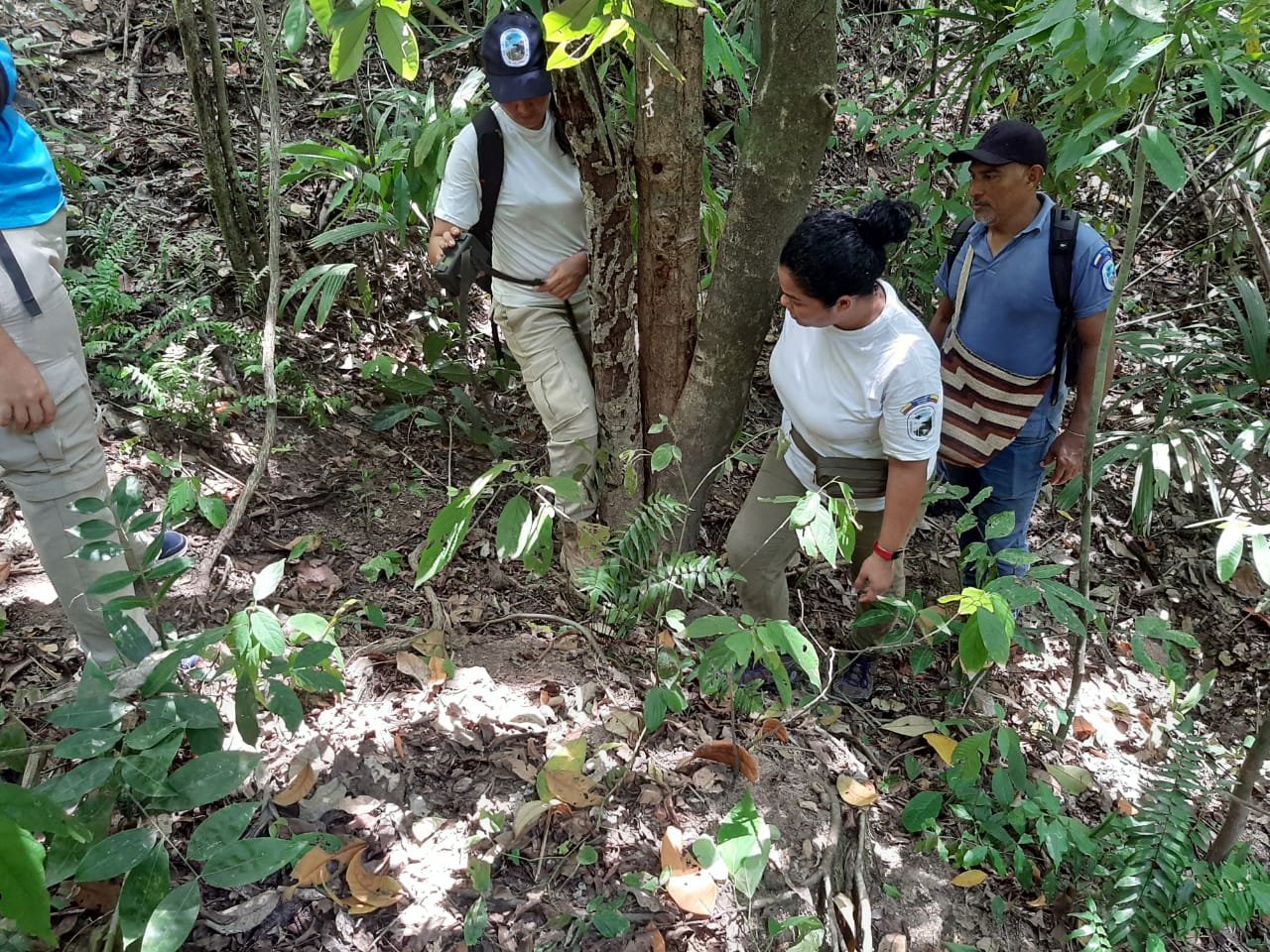 Los gardaparques y autoridades ancestrales organizan los protocolos para la reapertura del Parque Tayrona