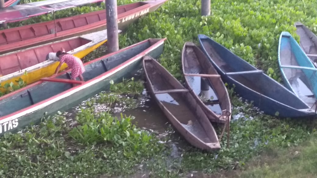 Mas de 8 mil familias están afectadas