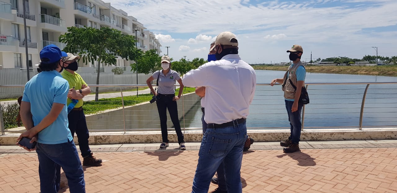 Autoridades ambientales investigan mortandad de peces en la zona norte de Cartagena