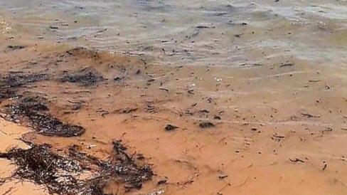 Presencia de petróleo en el Mar Caribe.