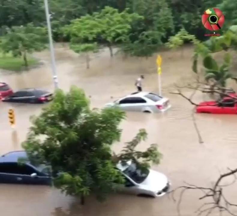 Las familias afectadas piden la urgente intervención del distrito