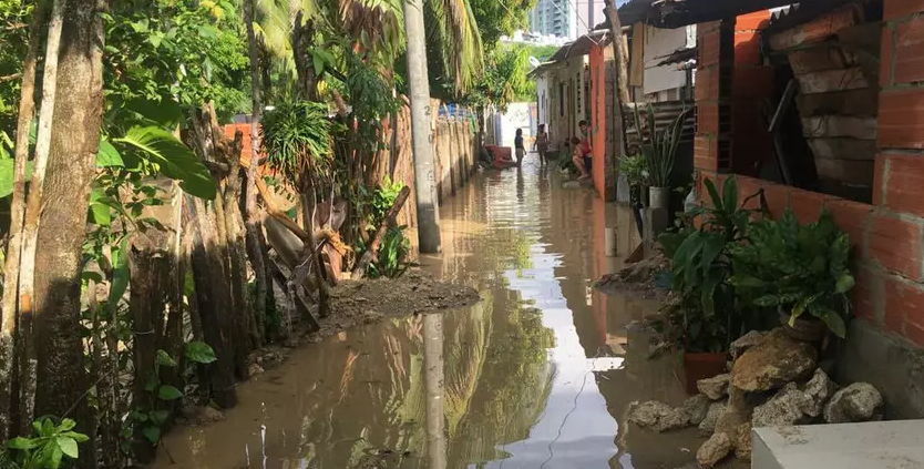 Imagen de referencia.