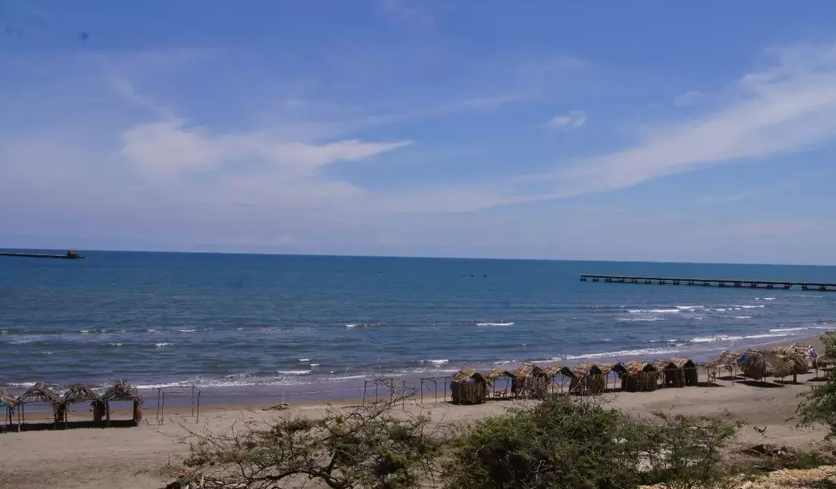 Imagen de referencia.