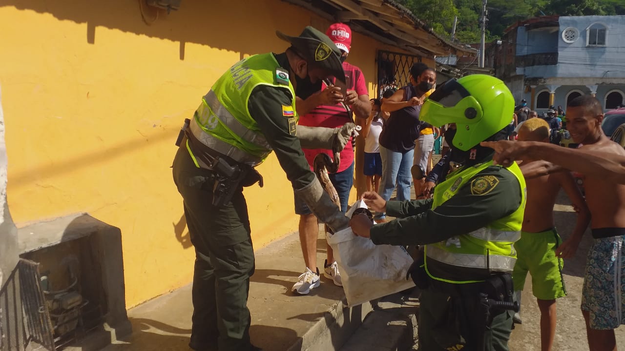 Estaba dentro de un contador de gas natural de una vivienda