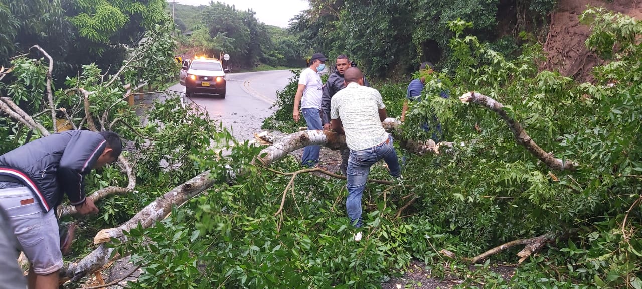 En el tramo sobre la troncal del caribe en la vía que de Santa Marta lleva a Riohacha, se presentan varias afectaciones por derrumbes