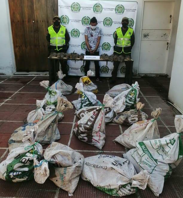 Babillas, Policía, Magdalena, Santa Ana, Capturas