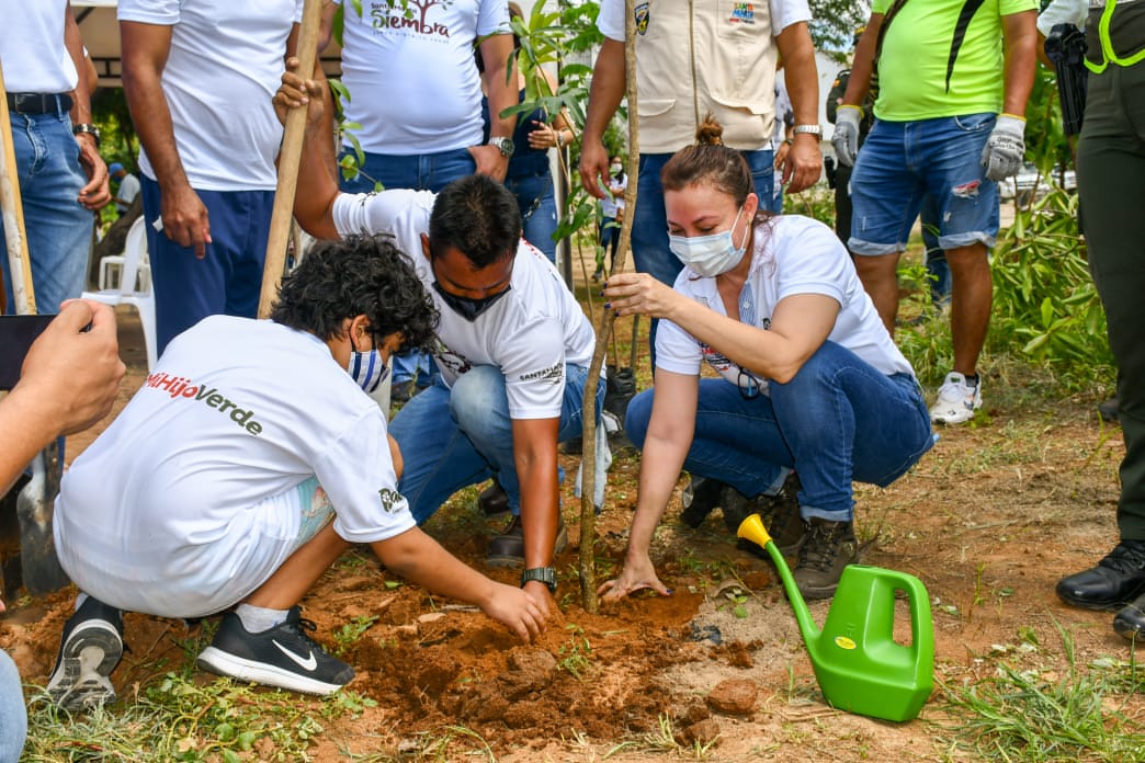 Ambiente, Santa Marta, Magdalena, Ecología