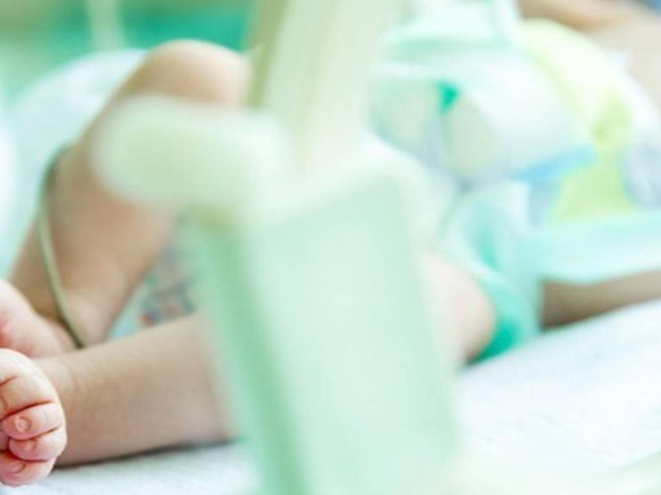 La Policía investiga presunto maltrato