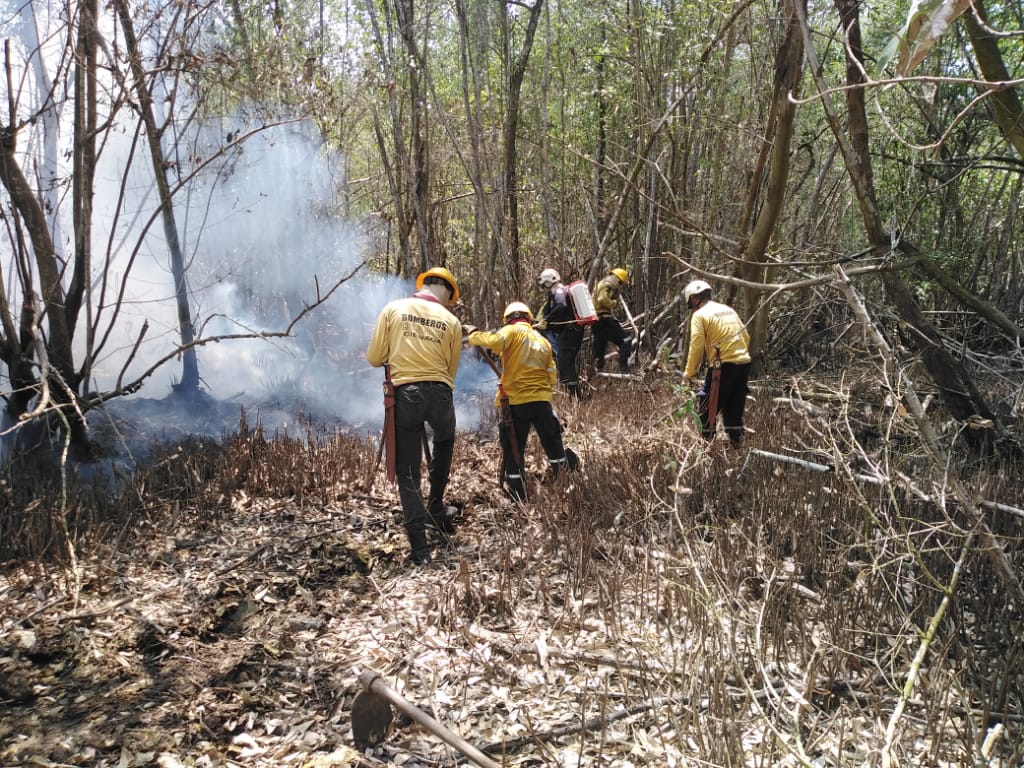 Bomberos de Sitionuevo en extinción de incendio forestal