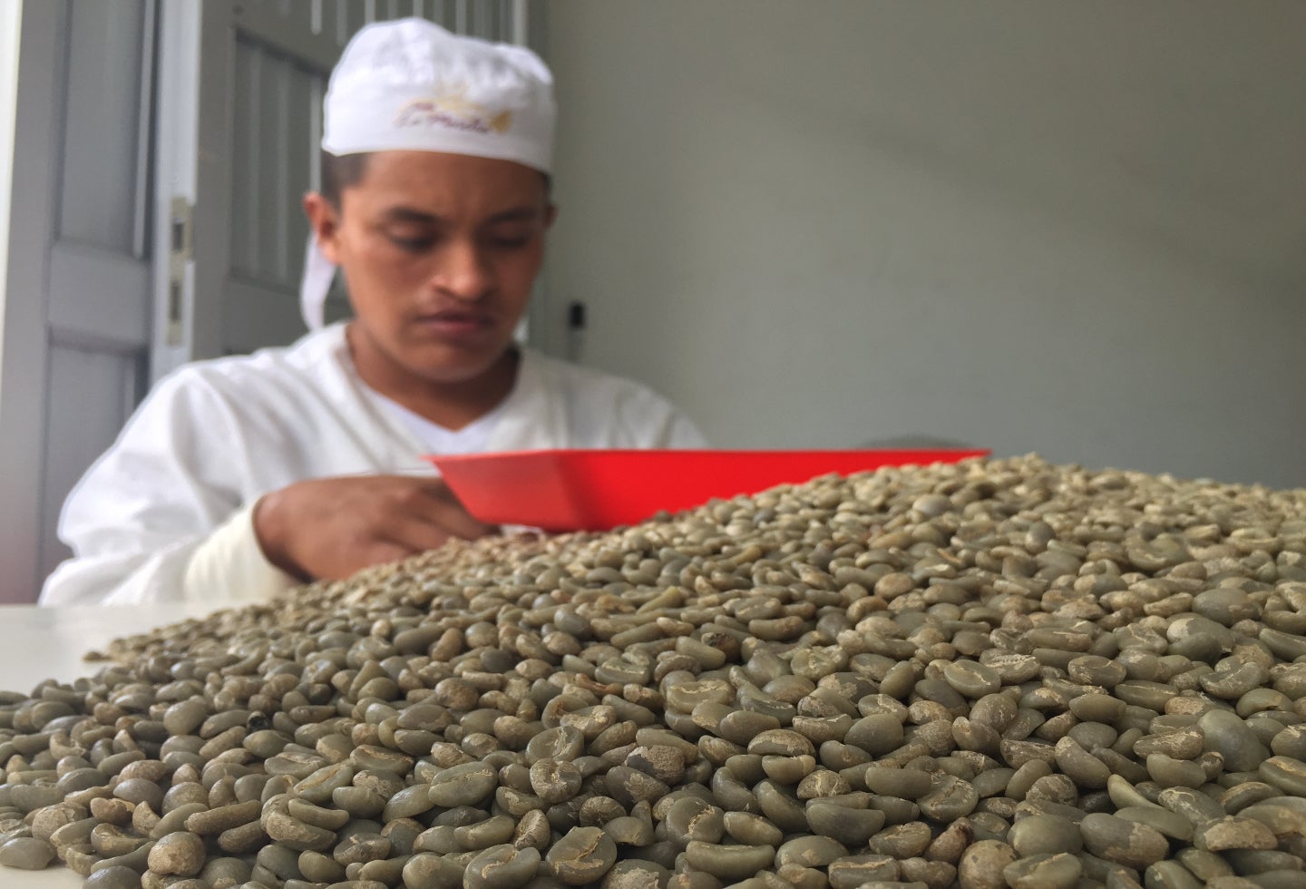 En la primera cosecha del año se espera una reducción en el número de granos recolectados