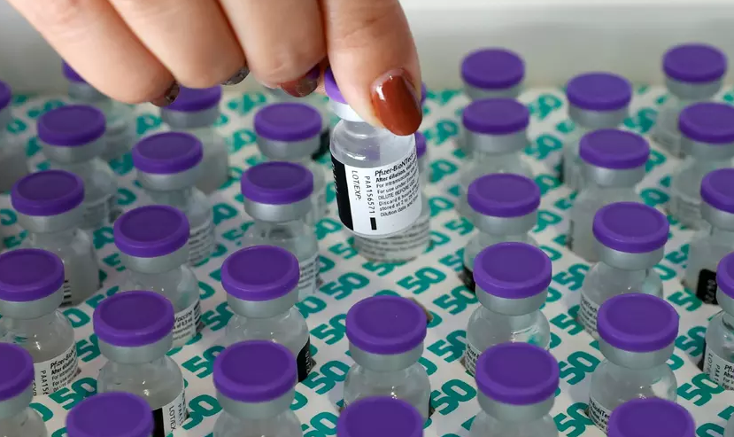 Imagen de referencia.